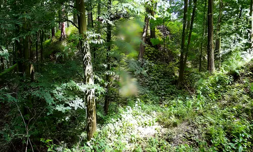 Čejchanov