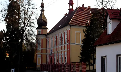 Čestice