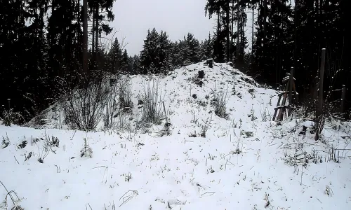 Šontál
