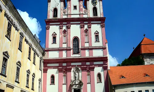 Kostel Nanebevzetí Panny Marie a svatého Václava (Znojmo)