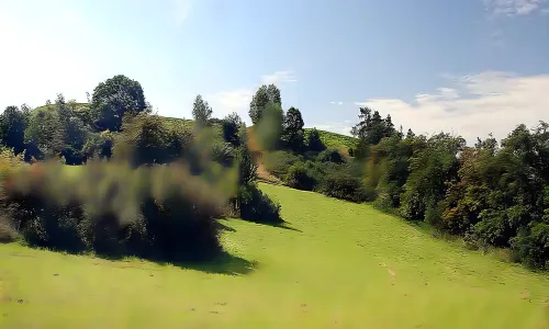 Šárecké hradiště