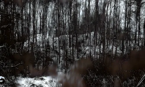 Středověká fortifikace Nový hrad / Zámeček