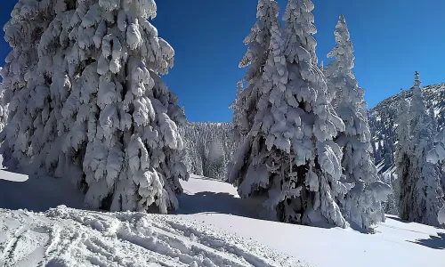 Harrachova cesta