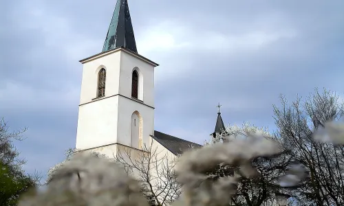 Kostel Nanebevzetí Panny Marie (Solec)