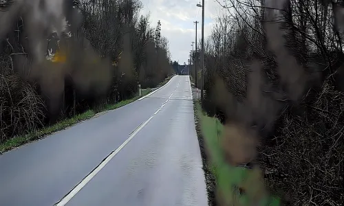 Kociánka