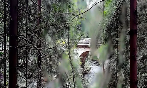 Zemská stezka