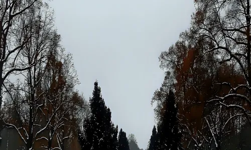 Borský park