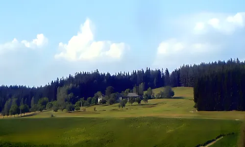 Bambouch
