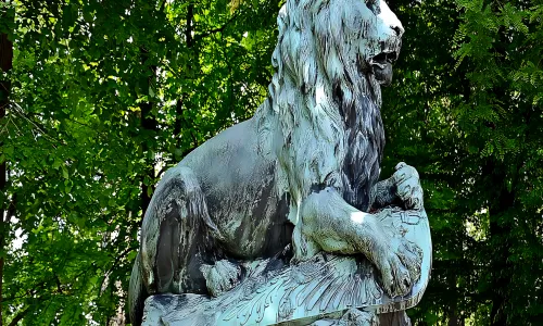 Socha lva