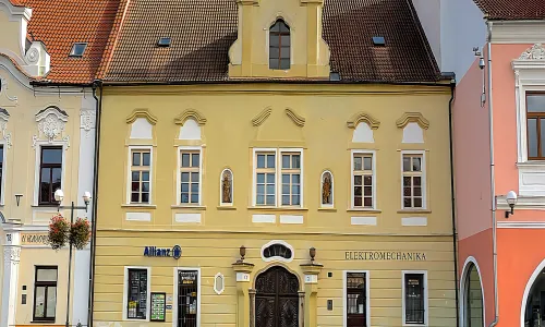 Ottlilienfeldský dům