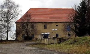 Bosyně
