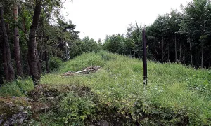 Budětice