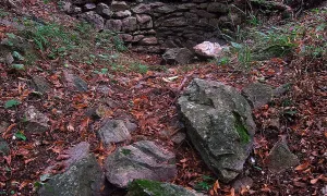 Bukovina