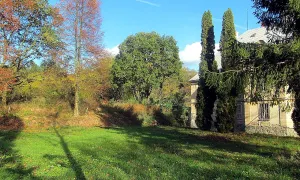 Chmelice