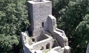Choustník