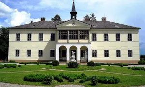 Citov