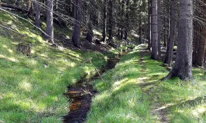 Dlouhá stoka