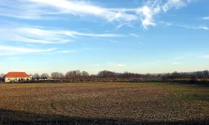Drahúš