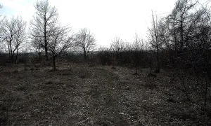 Dänemark