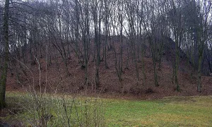 Dědice