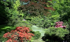 Arboretum Nový Dvůr