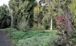 Arboretum Střední lesnické školy v Hranicích