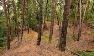 Hlavačov (Lužná)