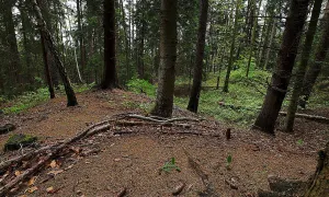 Hrádek u Kněževsi
