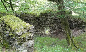 Jivno
