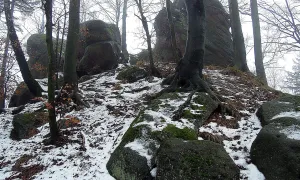 Klenov