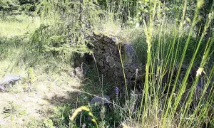 Mstěnice