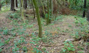 Ostrolovský Újezd