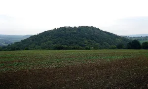 Paradies