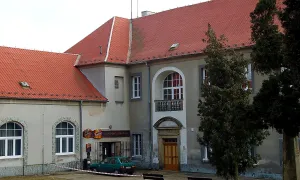 Sazená