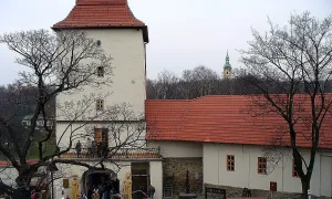Slezskoostravský hrad