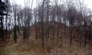Stagnov