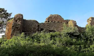 Vrškamýk