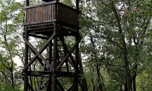 Výšinné neopevněné sídliště Landek
