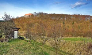 zámek Obora