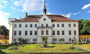 Řepín