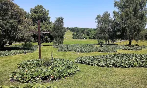 starý hřbitov v Lidicích