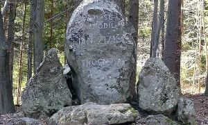 Žižkův dub