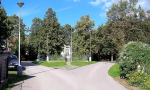 Žalov