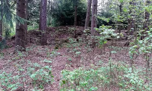 Kostel svatého Jana Křtitele (Janovičky)