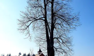 kaple Nejsvětější Trojice (Doubice)