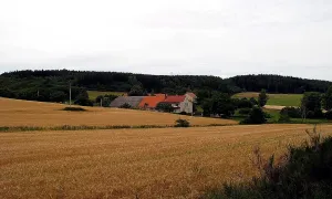 Osojno