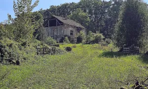 Venturka