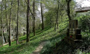 Jubilejní háj