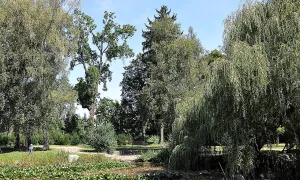Městský park