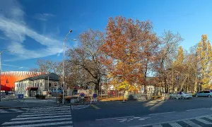 Smetanovy sady (Jihlava)